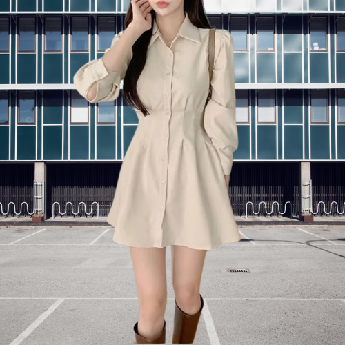 Chic Fashion Slim Mini Long Sleeve Dress